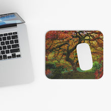 Load image into Gallery viewer, Magical Tree's Embrace - The Mouse Pad