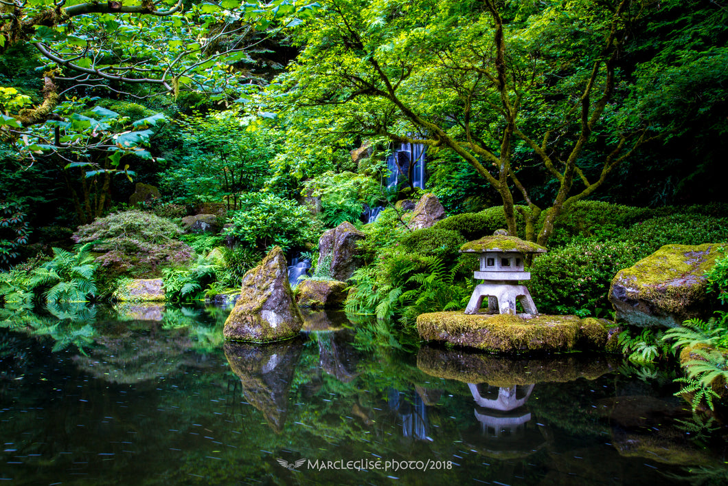 Waterfall of Contemplation - Photo Print