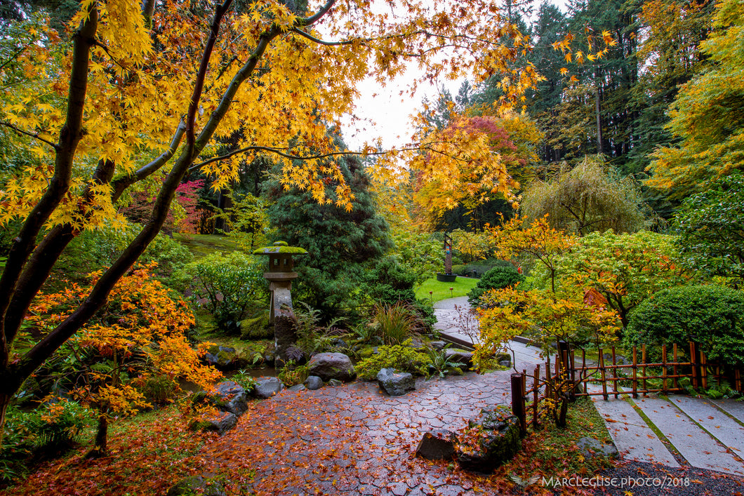 Autumn Stroll in Eden - Photo Print