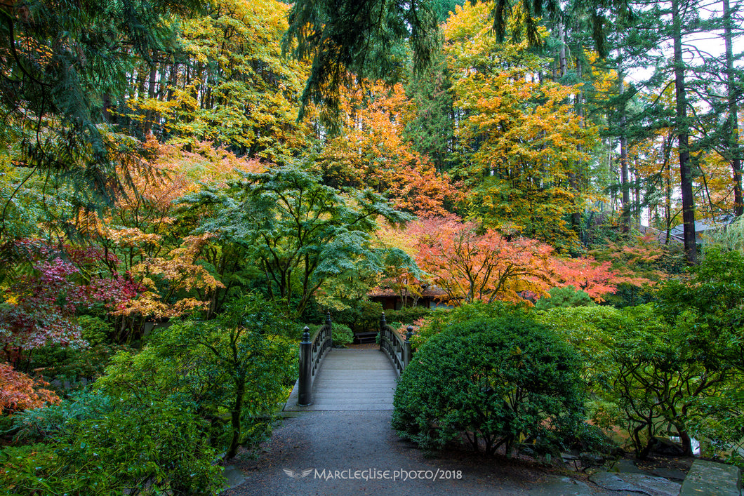 Enter the House of Autumn - Photo Print