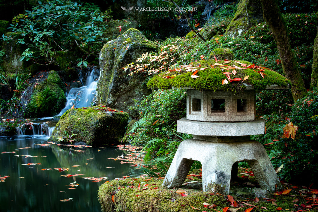 Waters of Autumn - Photo Print