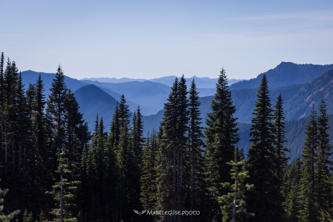 Mt Rainier Mountains - Photo Print