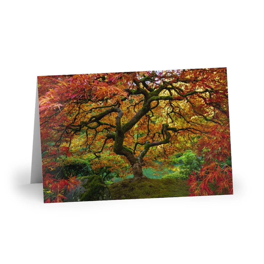 Magical Tree's Embrace - The Greeting Card (1 or 10-pcs)